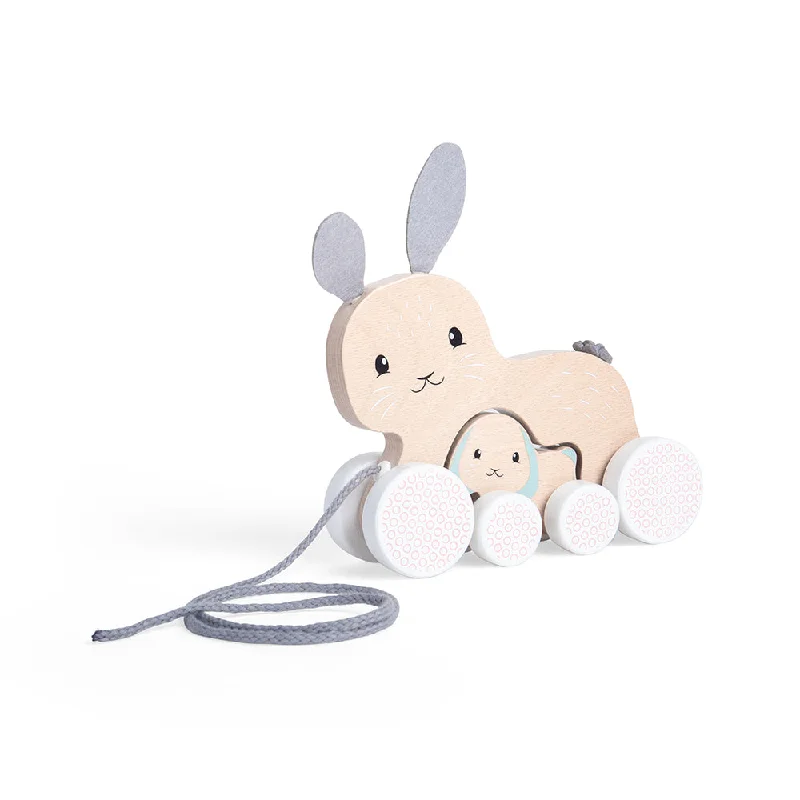 environmentally conscious wooden toys                 Bigjigs Toys Pull Along Bunny & Baby