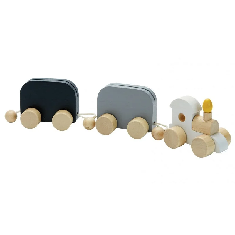 safe and non-toxic wooden toys that parents can trust                   Celebration Train