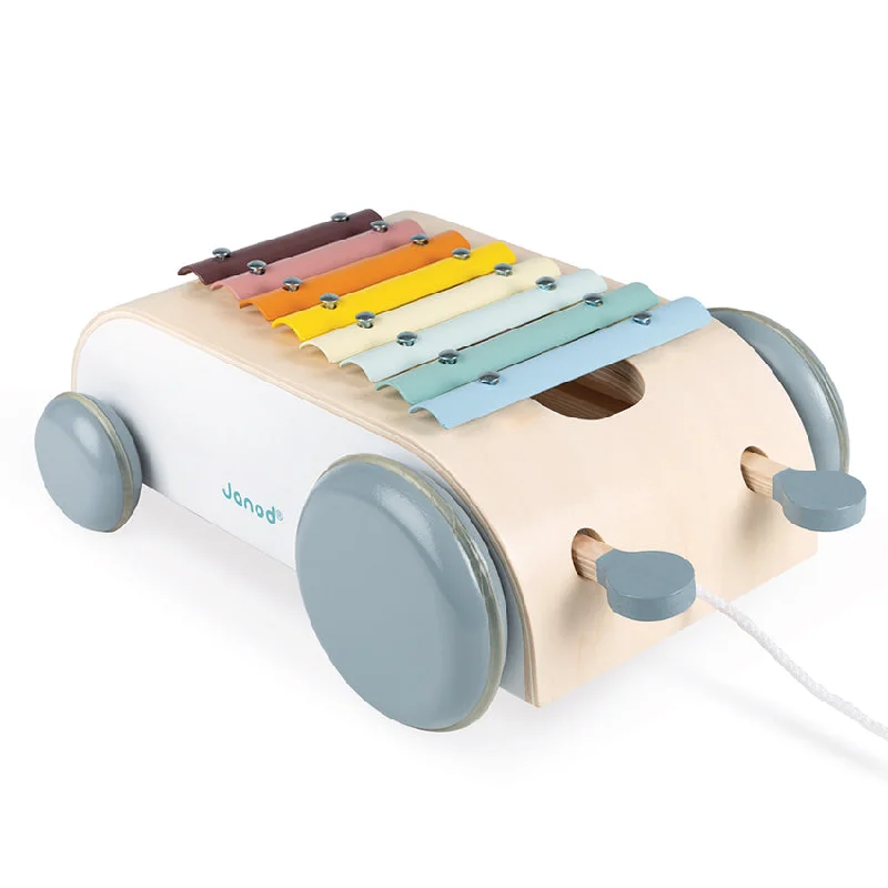 colorful wooden toys for toddlers             Cocoon Xylo Roller