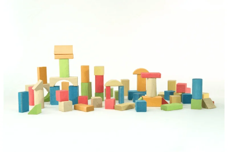 educational wooden toys                   Nic Natural Building Blocks - 58 Blocks (Made with plant-based dyes)