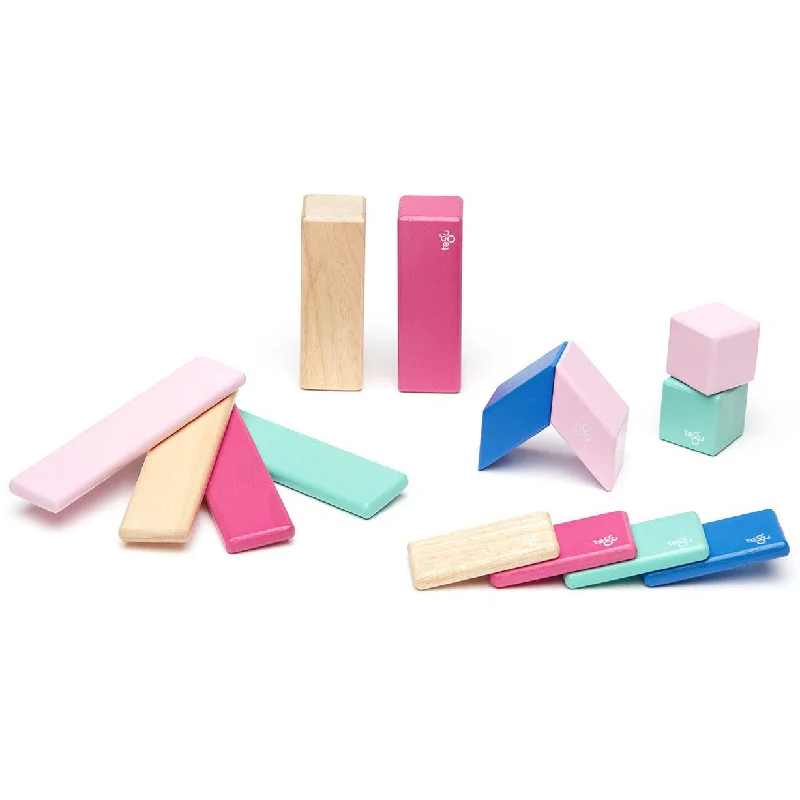 tactile wooden toys                   Tegu 14 Piece Set in Blossom