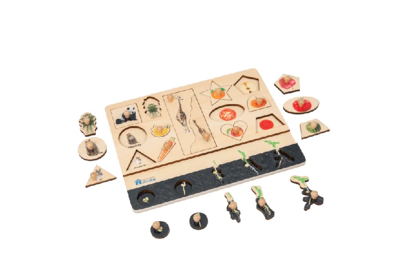 thoughtfully designed wooden toys              Vocabulary Puzzle - Biology